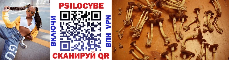 Галлюциногенные грибы Cubensis  Калининград 