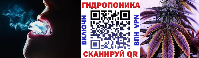 Конопля план  KRAKEN ТОР  Калининград  купить  